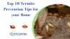 Top 10 Termite Prevention Tips for your Home - Pesto Control in Jaipur
