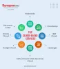 Top Cloud-Based Services | SynapseIndia
