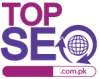 SEO Services In Pakistan | SEO Company Karachi, Lahore , Islamabad | TOPSEO.com.pk