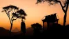 An African Safari Is The Best For Adventures Traveling