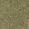 Buy Beige Carpets to create a stylish space for your home!