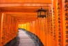What Is Origami? Japanese Traditional Paper Folding Art - Business Lug