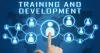 Custom Software Development Company in the USA