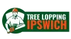 Tree Lopper Ipswich | Expert Tree Lopping Services