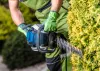 Tree Trimming | Tree Removal on Long Island
