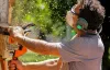 Tree Removal Services from Professionals: Why their Importance Cannot be Underestimated