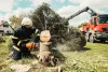tree-removal.jpg