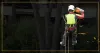 TOP RATED Tree Service and Removal in Powder Springs