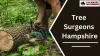What Tools Do Competent Tree Surgeons Use?