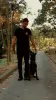 Treinador de cães na zona norte - Renan Adestrador