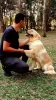 Treinador de cães na zona sul - Renan Adestrador