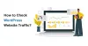 Check WordPress Website Traffic