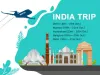 Beston's Trip to India in October - Pyrolysis Plant | Egg Tray Machine