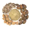 Triphala Extract Manufacturers | Triphala Extract Suppliers Exporters