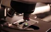 Pathology lab and Pathologist Lab Services