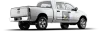 Bed Bug Exterminator Forest 