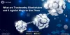 What are Trustworthy Blockchains and 5 rightful Ways to Use Them | CoinTrade - Cointrade