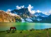 Kashmir Great Lakes Trek - Trek the Mountain