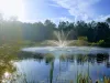 Discount Pond Fountains