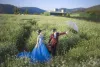 4 Ideas to Make the Morning Wedding More Fun