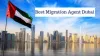 Immigration Consultancy Services — Improve You Immigration Chances with Best Agents