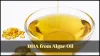 Medicinal Service — Know about DHA Extraction from Algae Oil