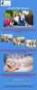 405 Brides Photography | Destination Wedding Photographer 405 Brides...