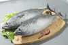 Tuna Market Growth