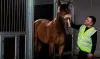 Turkish Cargo builds trust in 'Live Animal' transportation operations