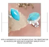 https://www.rananjayexports.com/gemstones/turquoise/