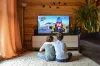 The Best Way To Update Your TV License Address