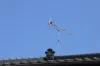 Hire Experienced TV Aerial Installers in Surrey