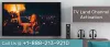 TV Land on Roku | Watch TV Land Live Without Cable 2020