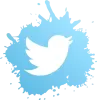 Buy Twitter PVA Accounts - 100% Verified - PVALO