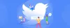 Twitter Feeds on Website Why It Is The Need Of The Hour