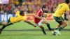 two-wallabies-released-to-face-the-british-and-irish-lions-tour-in-the-queensland-tour-match.jpg