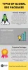Types of Global SEO Packages
