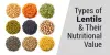 Guide to Indian Dal, Lentils, Beans, and Pulses by Lentil Suppliers in India