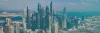 Types of Companies in Dubai