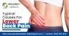 Typical Causes For Lower Back Pain | lowbackpain