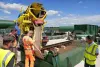 Waste Tyre Pyrolysis Plant Project Report from Manufacturer