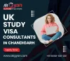 Top 4 Courses to Study in UK Universities – Random Article – Bloggers Unite