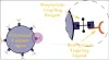 Ultrasound Imaging - CD Bioparticles