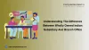  Navigating Market Entry: Branch Office vs. Wholly Owned Subsidiary in India
