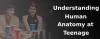 Understanding Human Anatomy at Teenage!