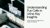 understanding_pus_cells_in_urine_key_insights_causes_symptoms_diagnosis_and_treatment_explained_2.png