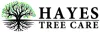 Tree Lopping Mandurah | Get a [FREE QUOTE] Today!