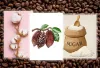 Online Commodity Trading Rules, Benefits and Risks | BAAZEX