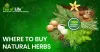 Where to buy natural herbs near me - The Tea of Life