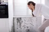 Expert Mold Removal Service - Safe, Efficient, and Reliable